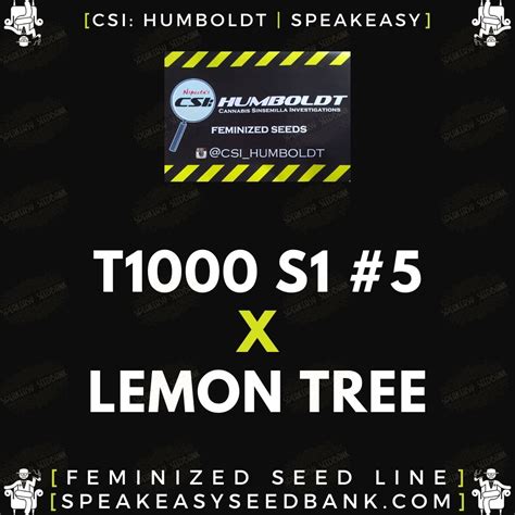 t1000 s1 seeds 00
